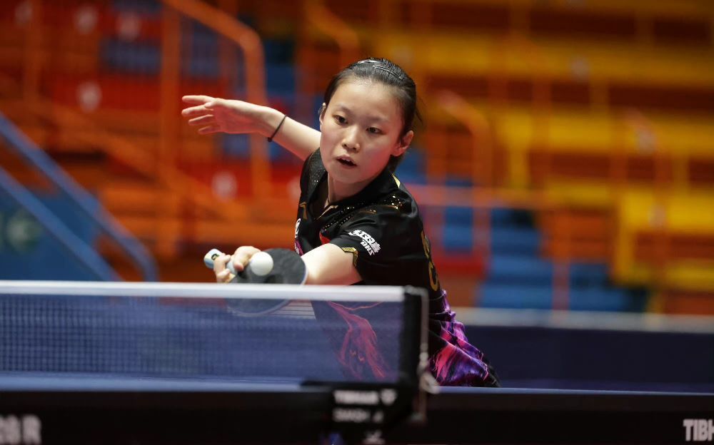 转会窗口的 转会窗口的