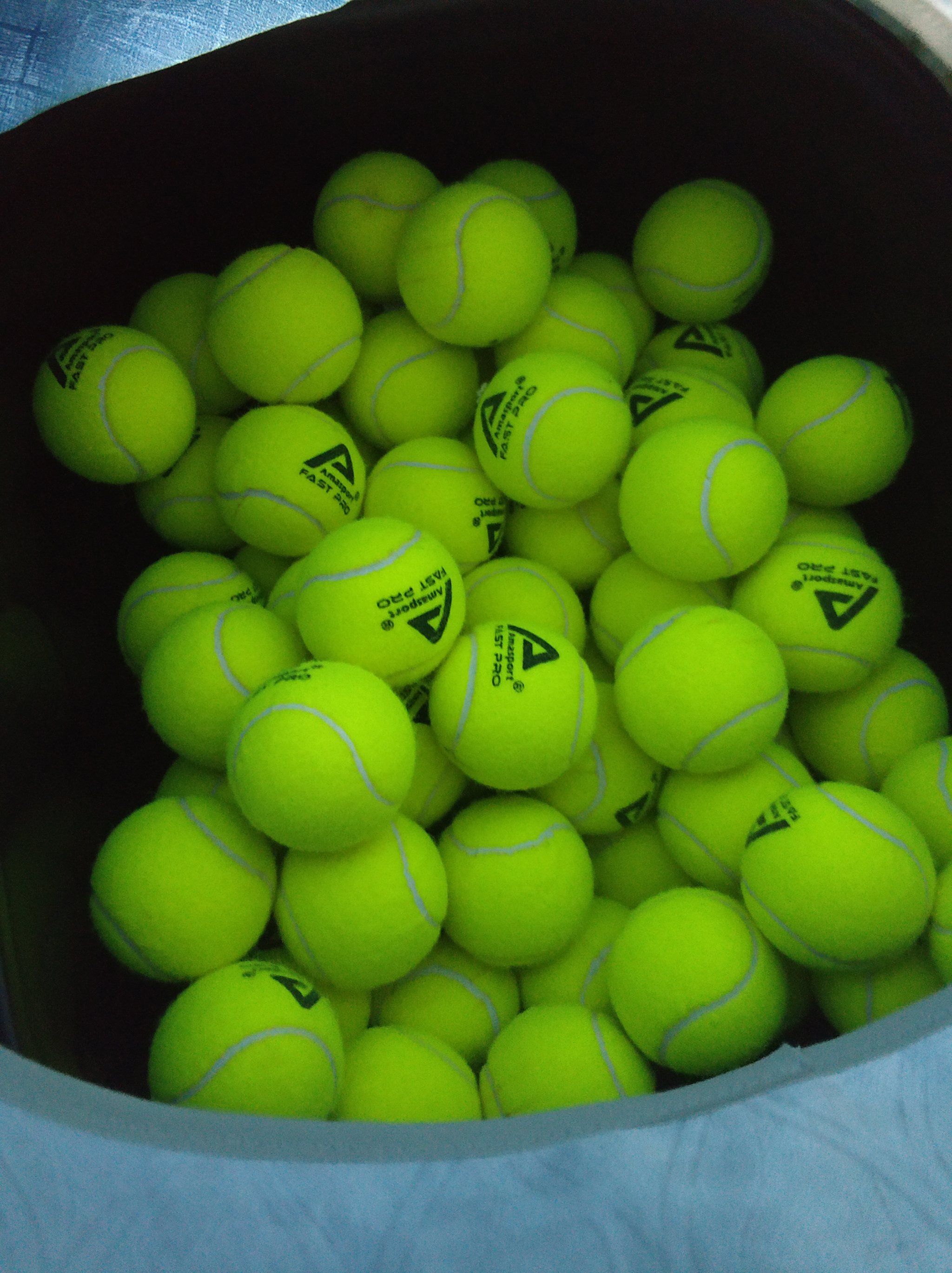 总的来说 总的来说